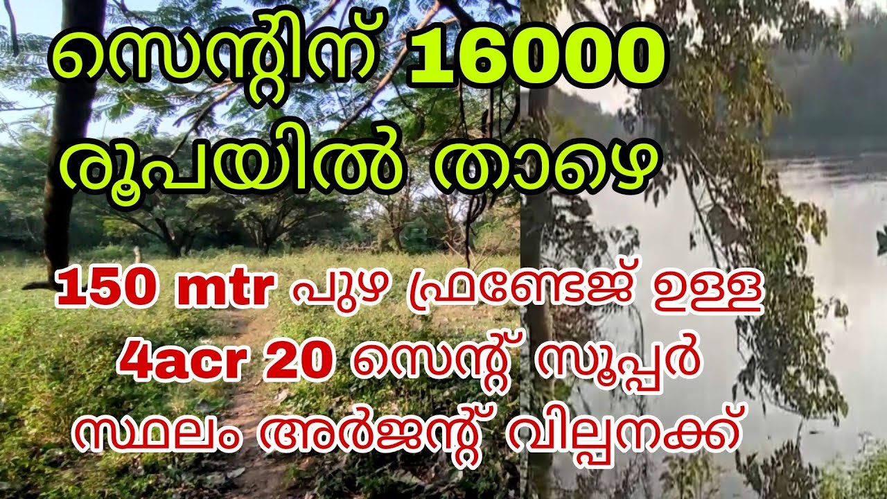 സെന്റിന് 16000 രൂപയിൽതാഴെ 150 മീറ്ററോളം പുഴ ഫ്രണ്ടേജ്ഉള്ള 4 acr 20 സെന്റ് സ്ഥലം അർജന്റ് വില്പനക്ക്‌