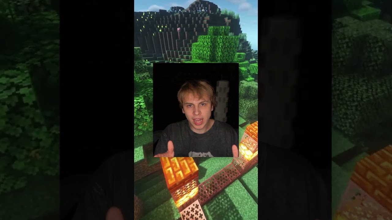 Habt ihr seltene Phobien oder &Auml;ngste!🤔Minecraft Tordi #minecraft #sabos #tordi #deutsch