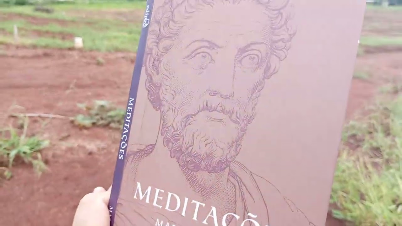 Resumo e Reflexões do Livro Meditações de Marco Aurélio - TERAPIA