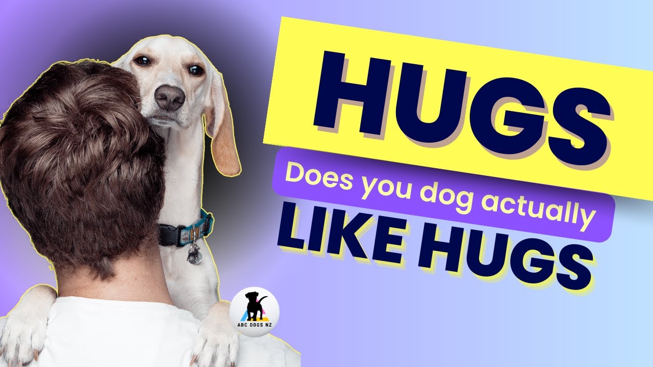 Do Dogs Really Enjoy Hugs? The Surprising Truth! Inside the mind of a dog