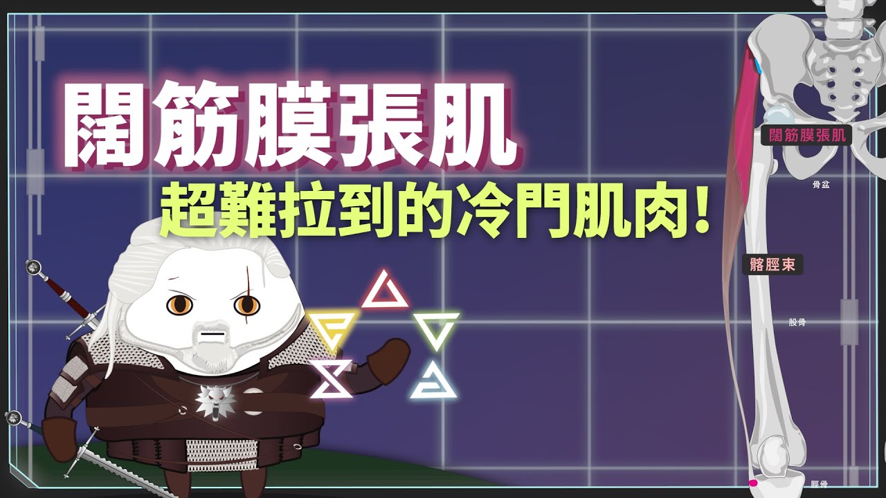 【靜態伸展系列】闊筋膜張肌◆超難拉到的冷門肌肉｜體殼運動防護