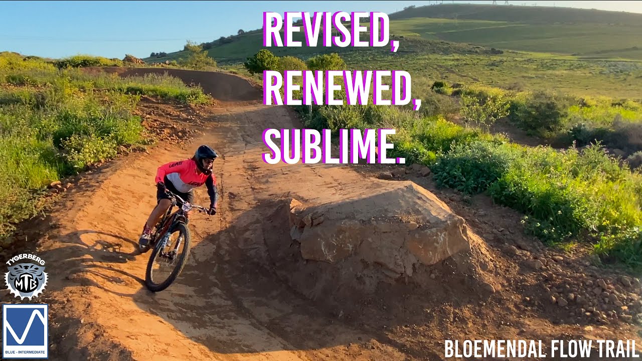 OOPS, THEY DID IT AGAIN... Bloemendal Flow 2.0