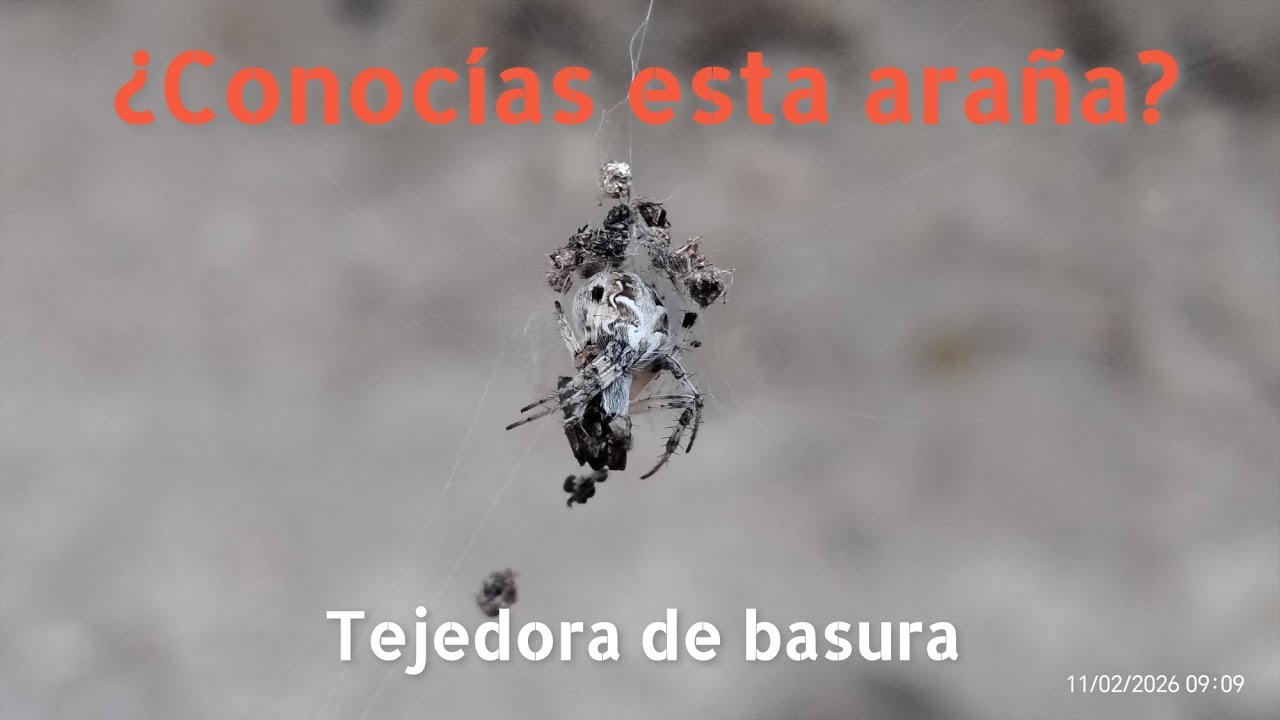 En la búsqueda de animales del desierto de #sonora , en la ciudad de #hermosillo .