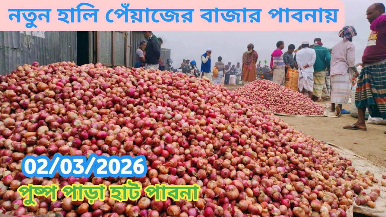 2 March 2026 আজকের নতুন পেঁয়াজের বাজার দর। পাবনার নতুন হালি পেঁয়াজের বাজার। Onion market price 
