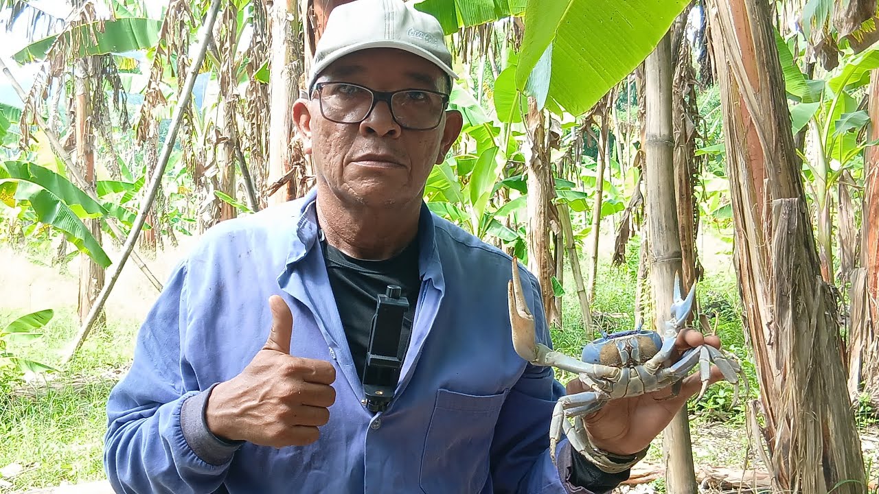 GUAIAMUM MONSTRO QUE PEGAMOS NESSE CAÇADA!!!!