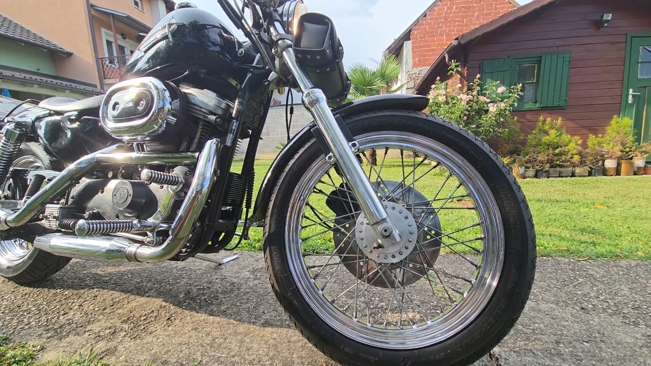 Harley Davidson 883 Evo - Start Up, Sound, Vibrations & Walkaraound