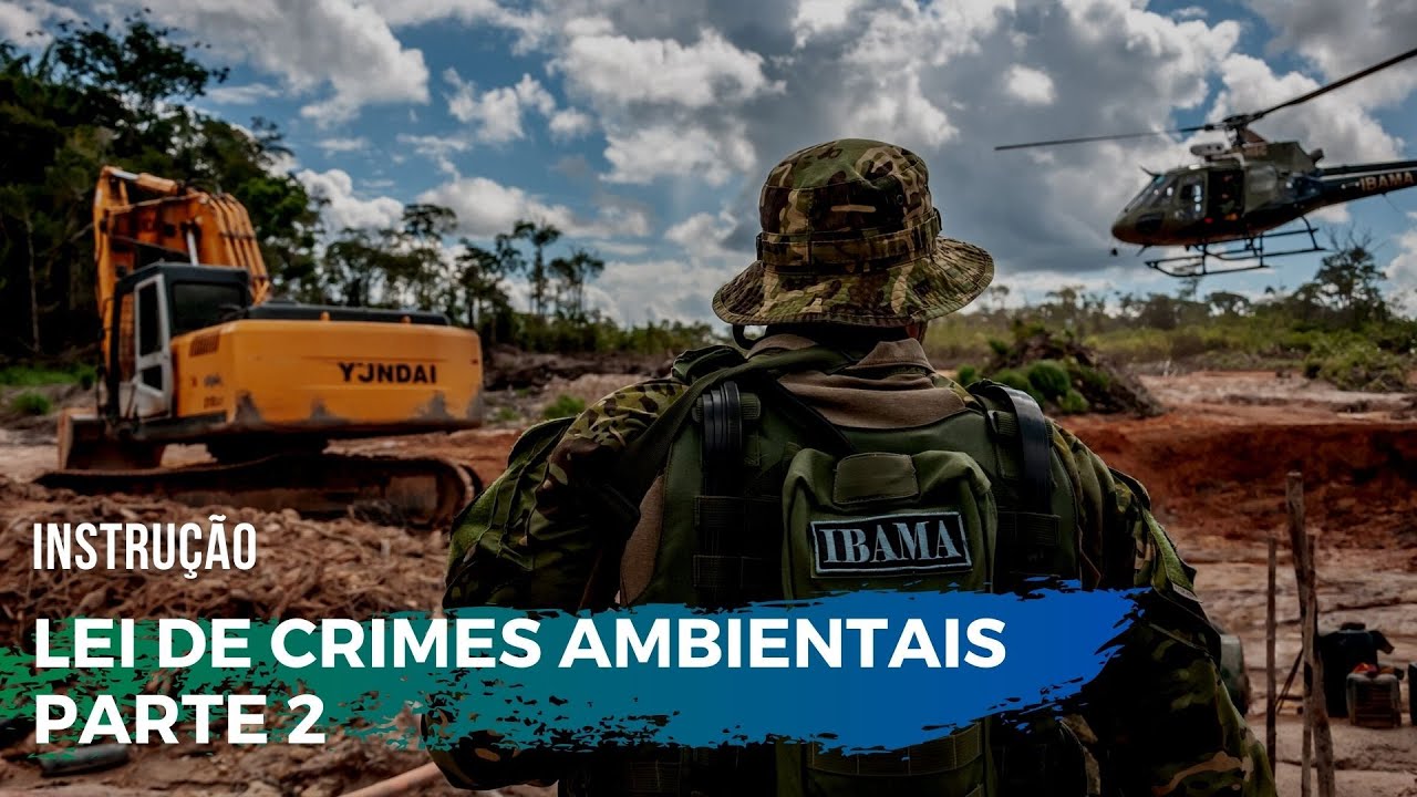 LEI DE CRIMES AMBIENTAIS: Penas, atenuantes, agravantes, perícia...