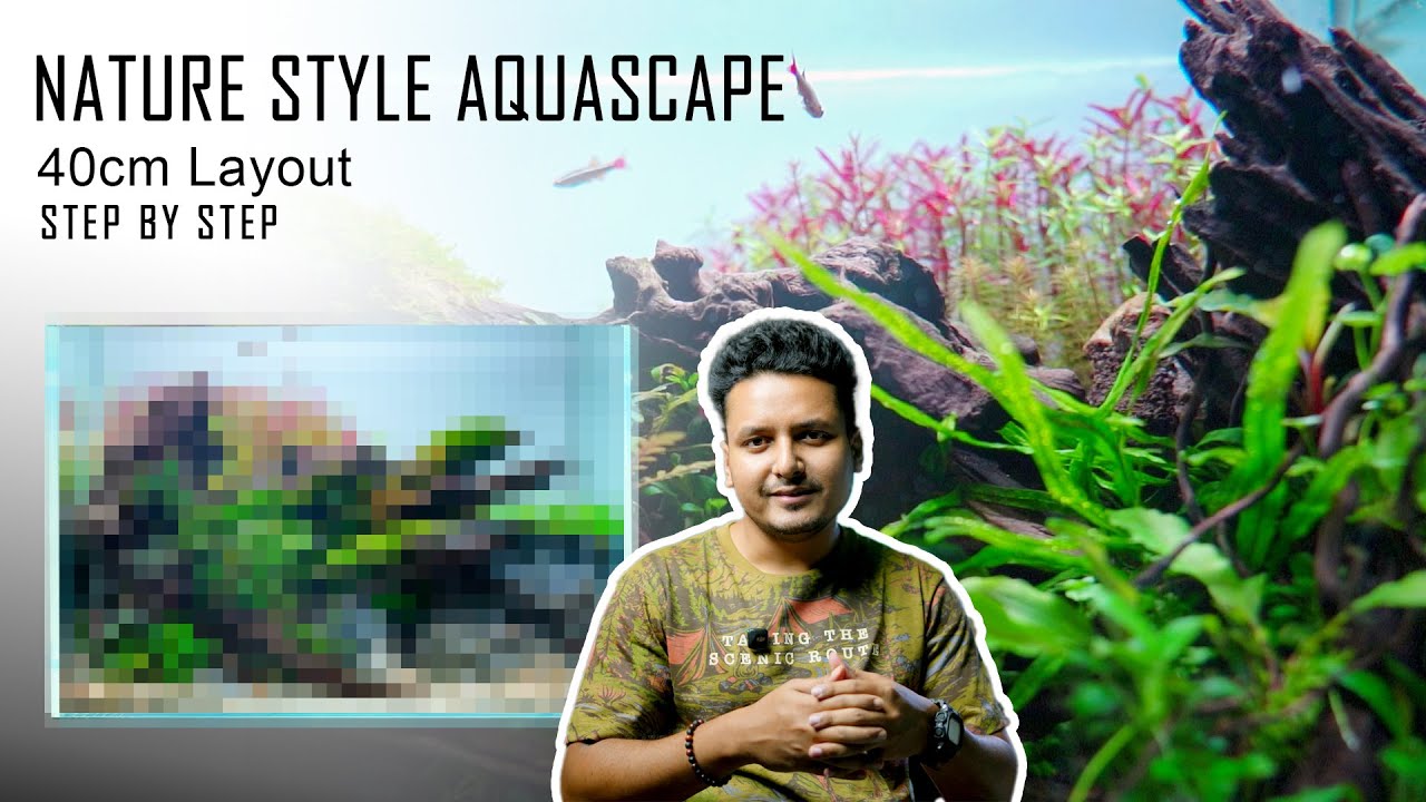 Nature Style Aquascape | Step By Step Tutorial | সঙ্গে আছে অনেক তথ্য |