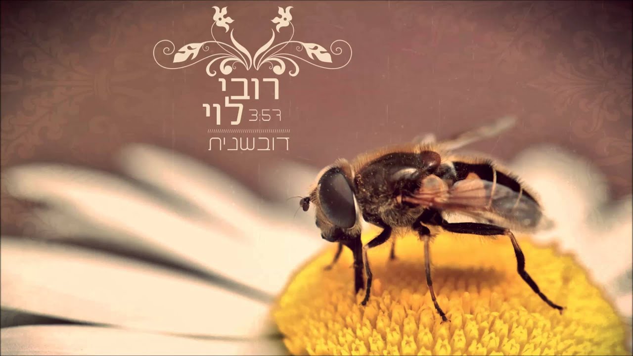 רובי לוי - דובשנית