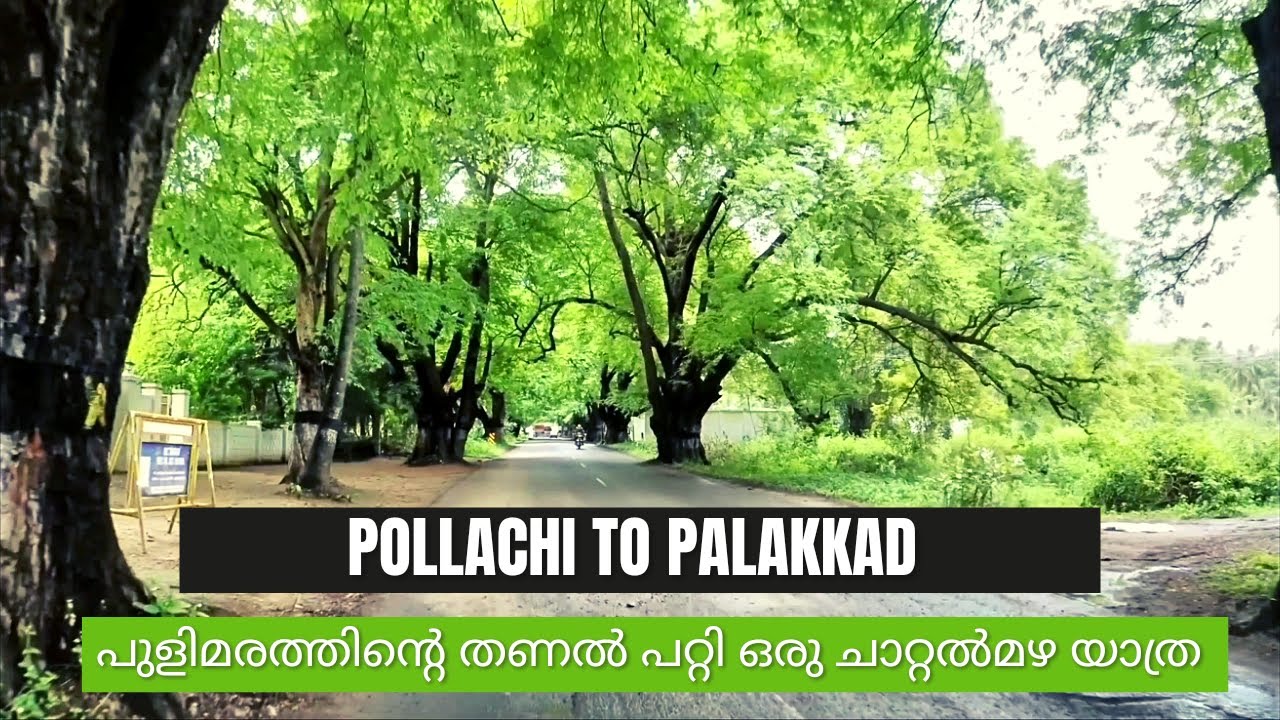 pollachi palakkad road trip | smokie tank | പുളി മരങ്ങൾക്കിടയിലൂടെ മഴയത്ത് ഒരു യാത്ര