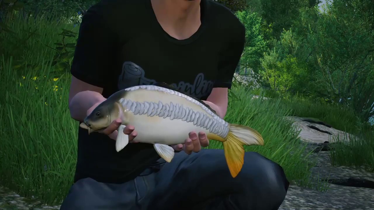 Euro Fishing | Live Stream, Multiplayer at st johns lake