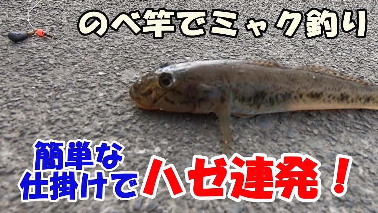 ハゼ釣りはのべ竿が超楽しい♪簡単仕掛けで入れ喰いを堪能！