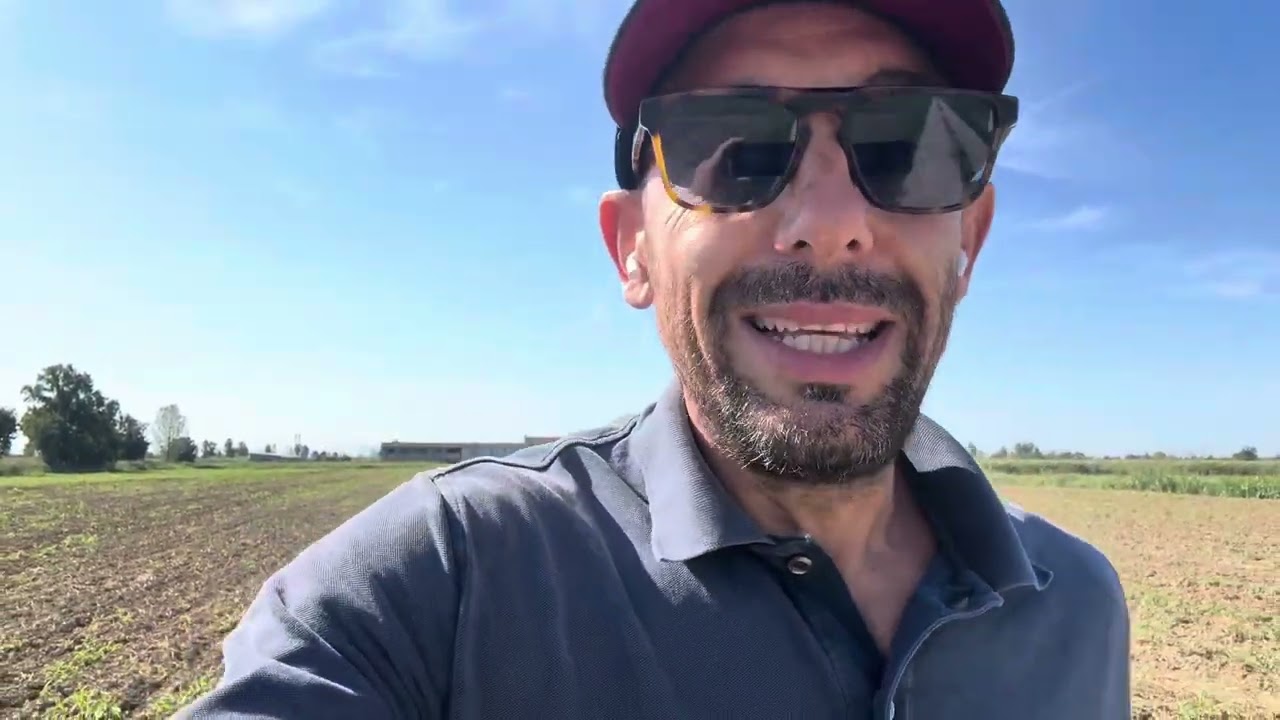 Sono Dazi ( cinesi ) nostri