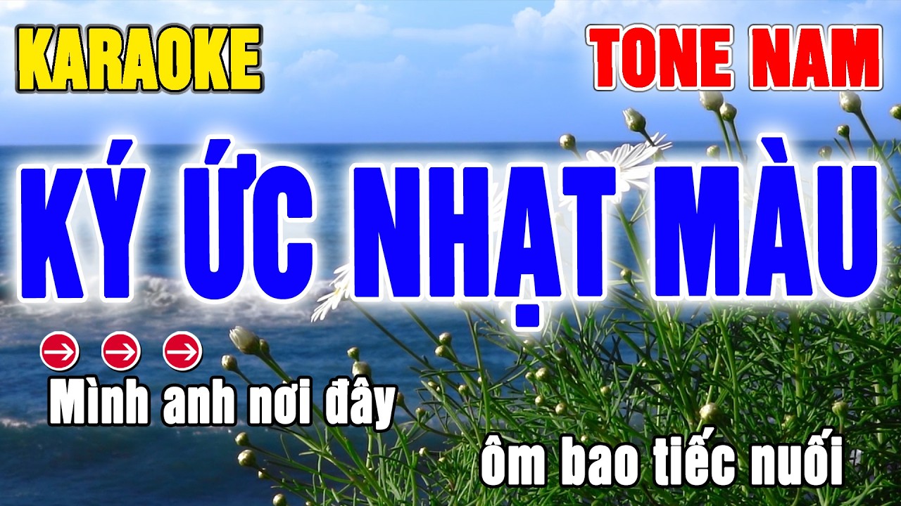 Ký Ức Nhạt Màu Karaoke Tone Nam | Beat Thanh Hà