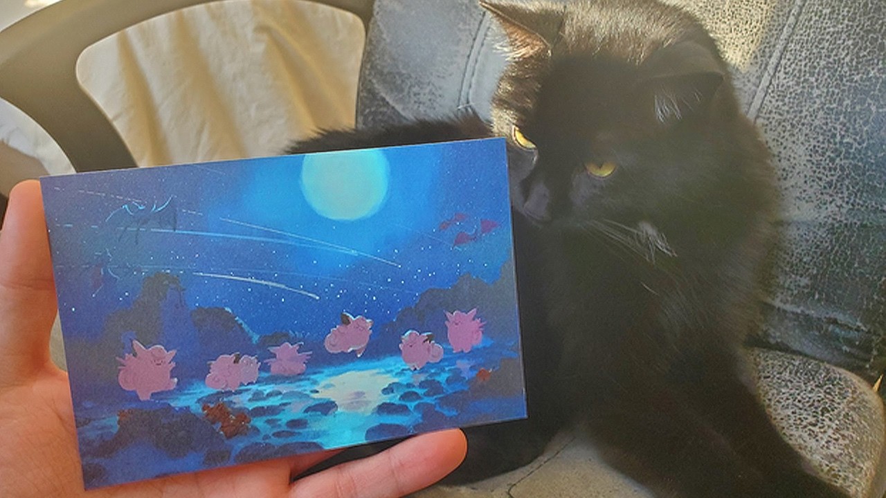 Jobless bum opens beautiful Pokemon postcards (I didn't get the job at the cemetery)