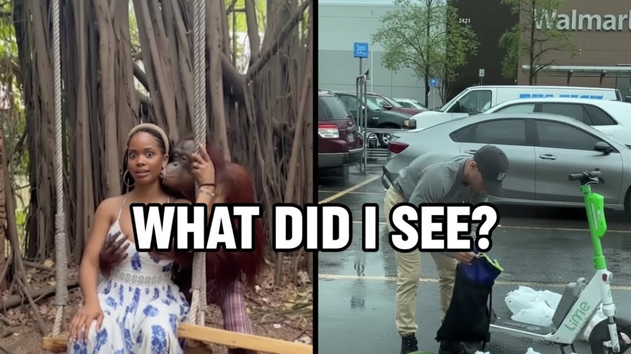 IVC internet video clips-Her Reaction to This Little Friend Is Everything 😍” 