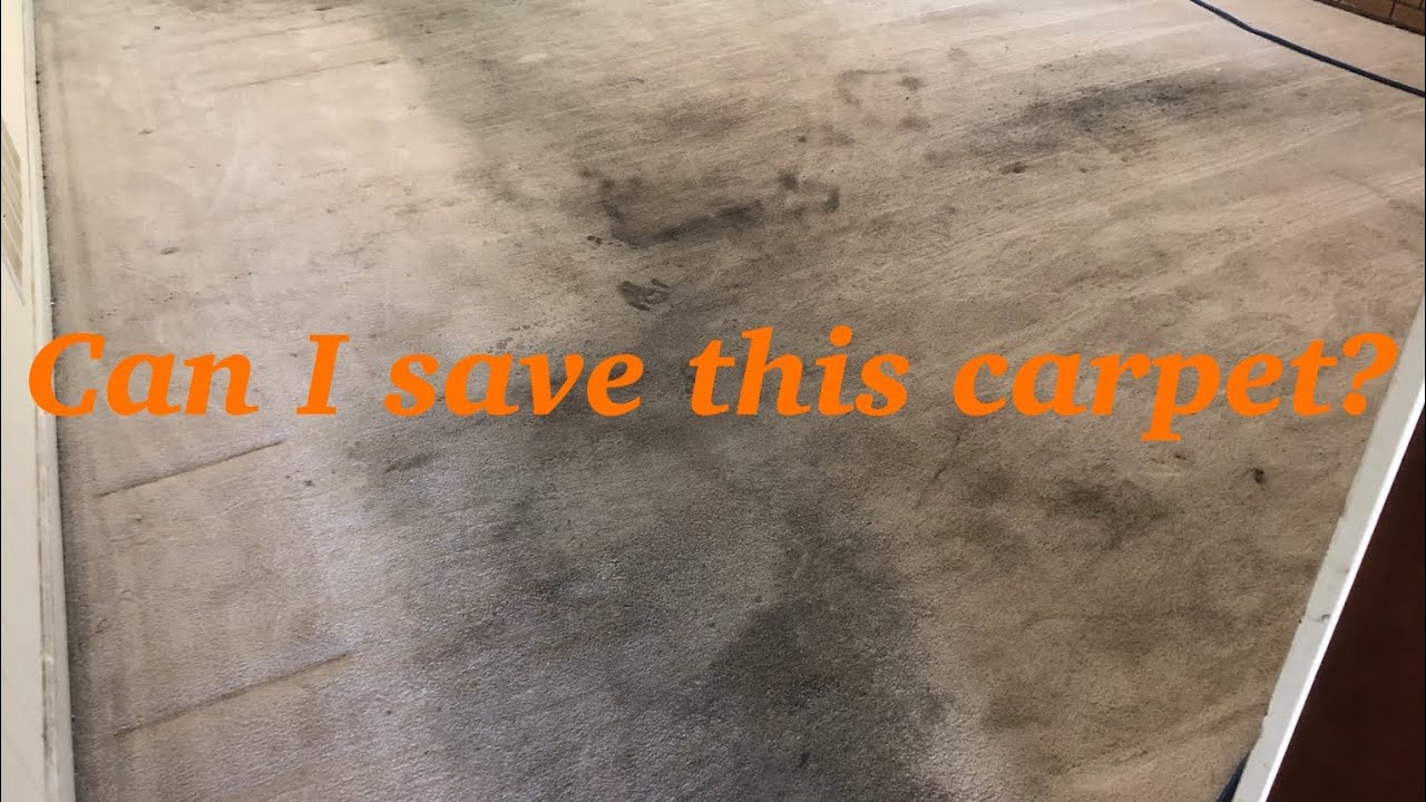 Advanced Cleaning Vlog # 17 || Heavily soiled living room carpet cleaning