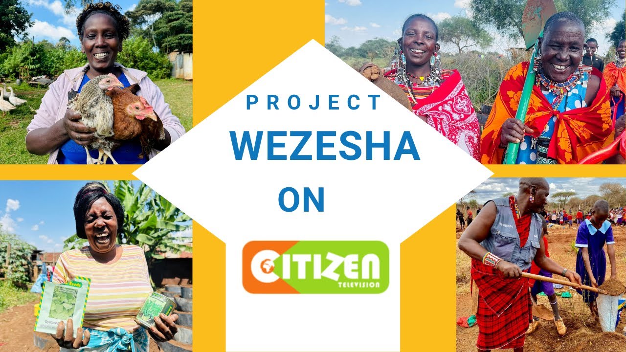 🌱 Project Wezesha Featured on Citizen TV! 🇰🇪