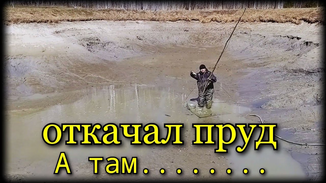 откачал пруд.