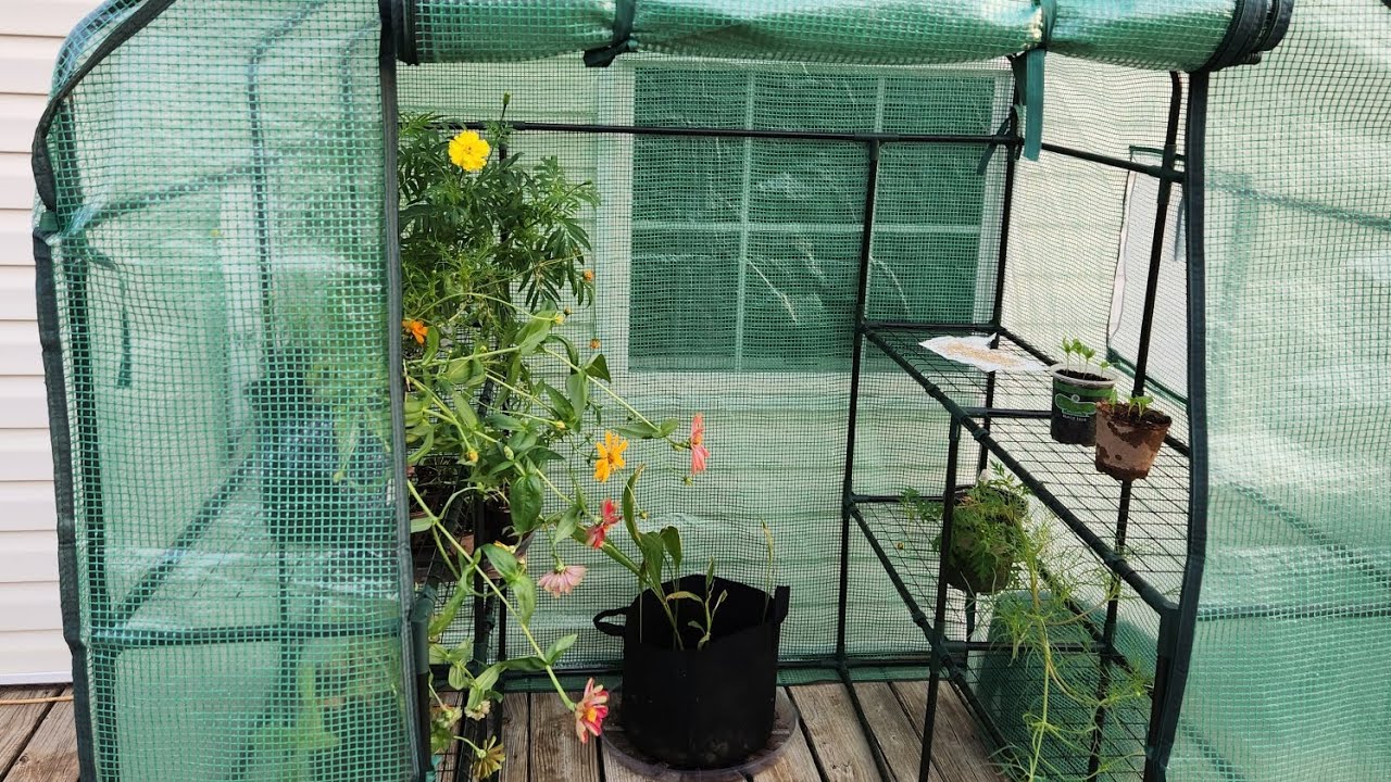 Amazon Greenhouse Set Up