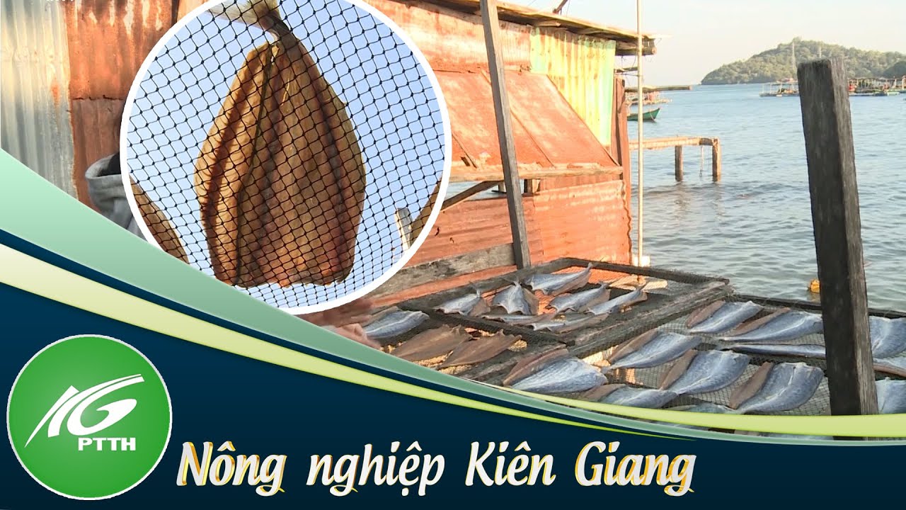 Đặc sản c&aacute; kh&ocirc; tr&ecirc;n đảo Hải Tặc | THKG