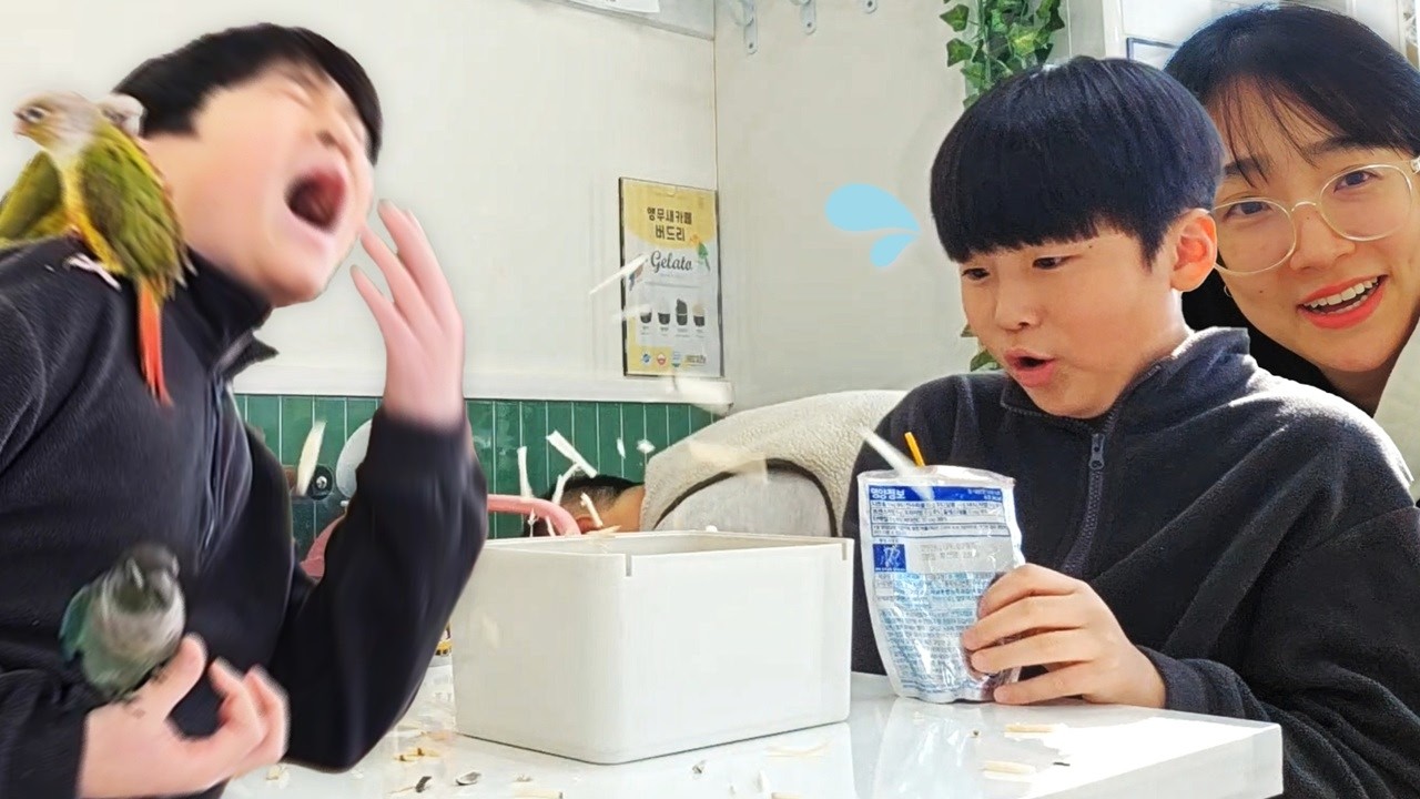 앵무새 카페에서 정신교육 당한 아들