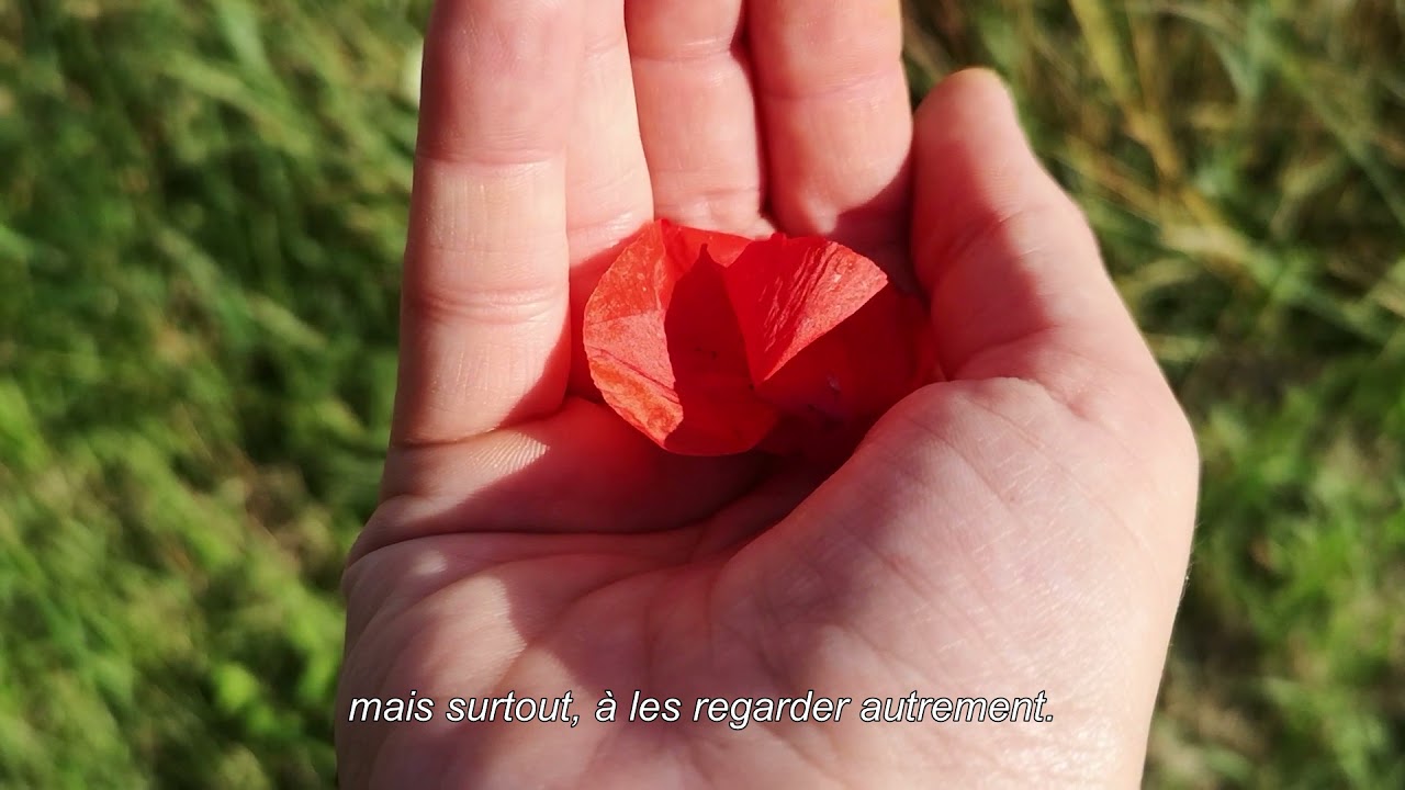 Tuto #2 – Réaliser un anthotype avec Léa Habourdin [VOSTFR]