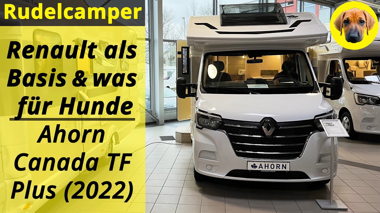 SEHR GÜNSTIGES WOMO: Ahorn Canada TF Plus (2022) - Basis Renault & was für Hunde - Roomtour - 017