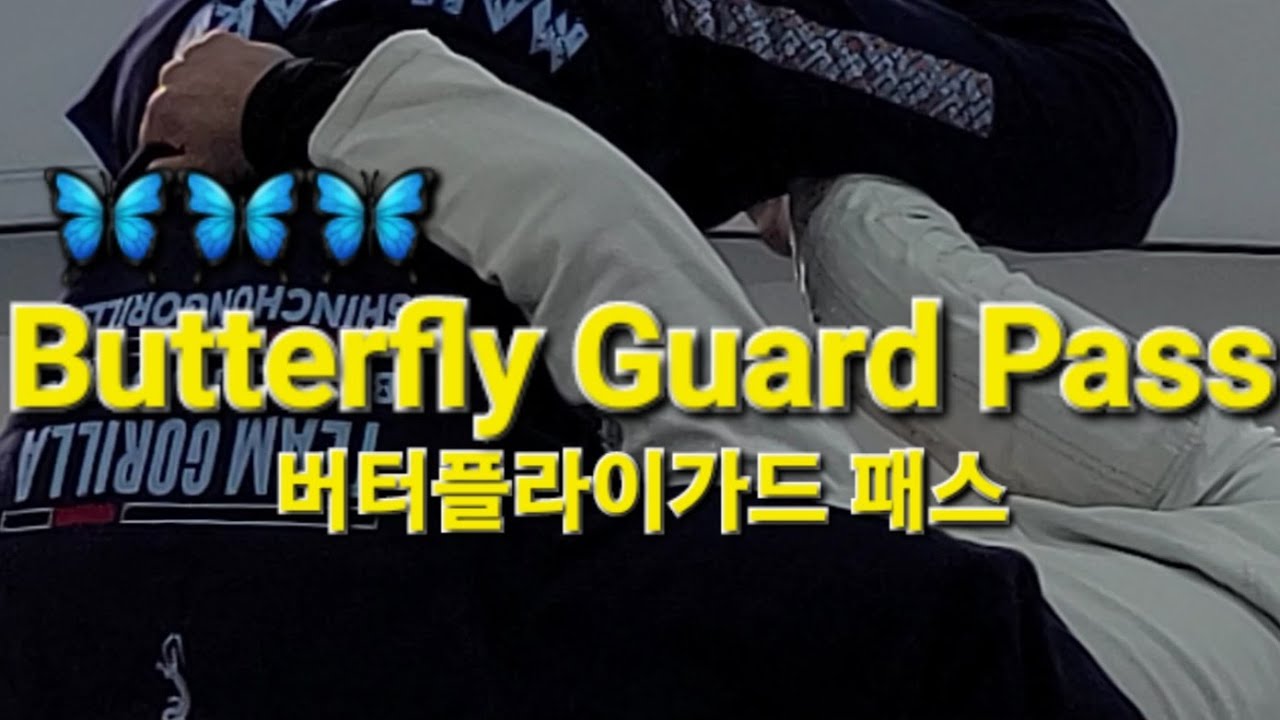 버터플라이가드 패스 Butterfly Guard Pass (기술도움 : 김준호) #버터플라이가드 #ButterflyGuard