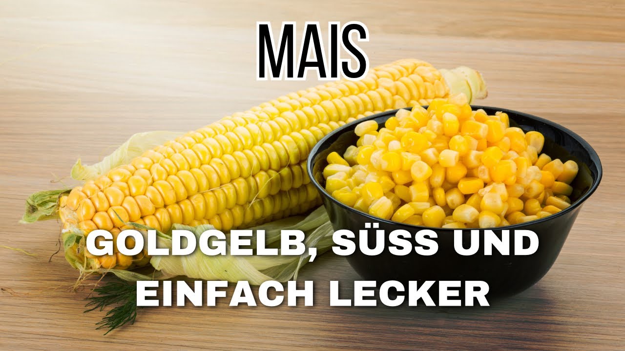 Wissenswertes &uuml;ber Mais 🌽 