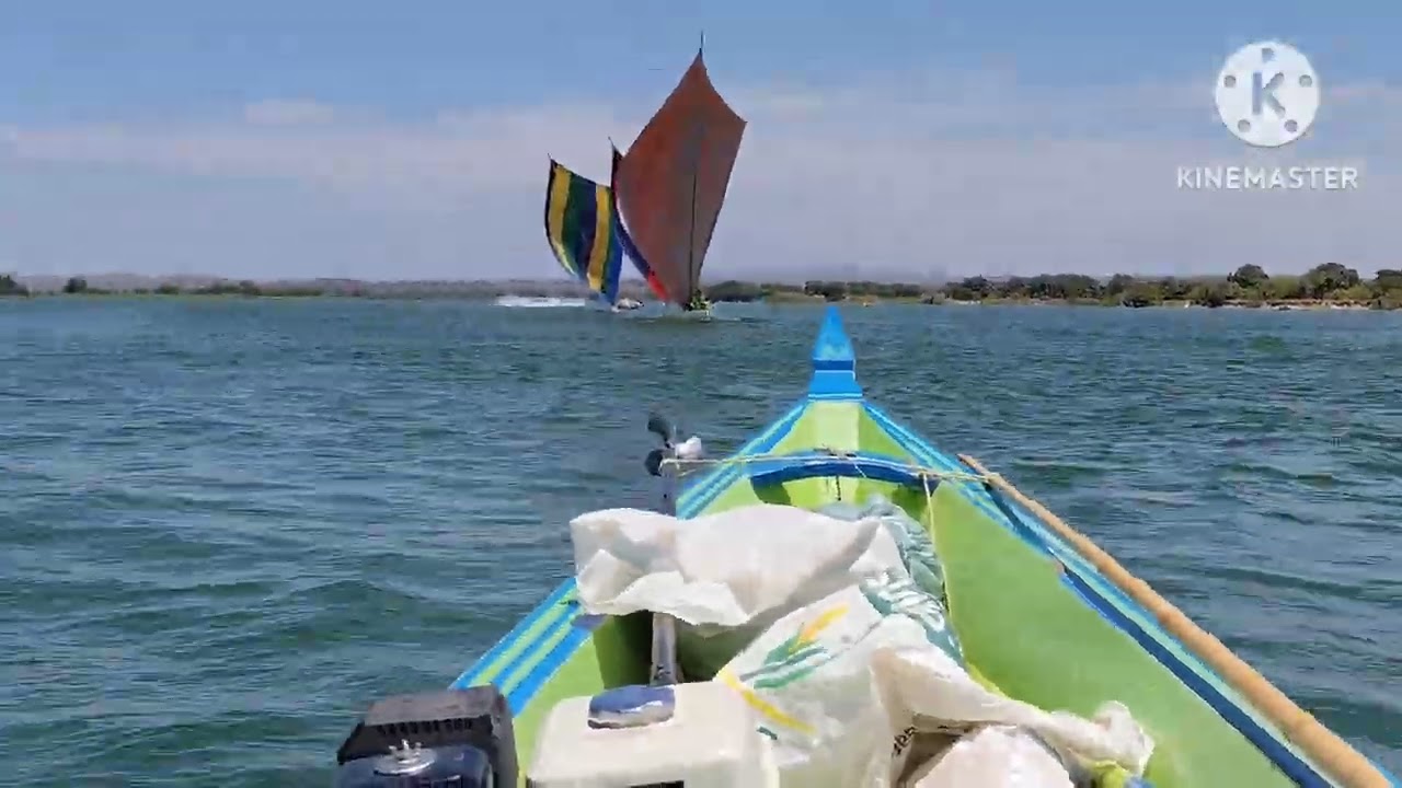Corrida de canoa em Amparo 1 de fevereiro de 2026