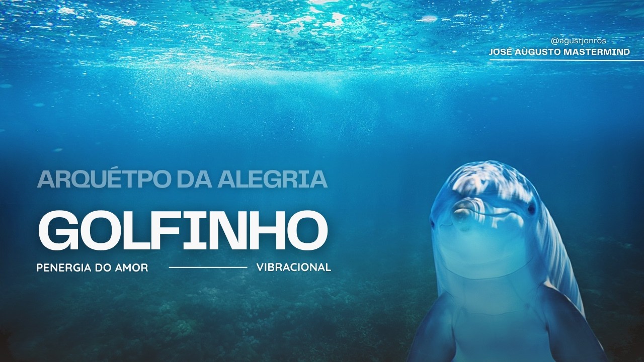 Arquétipo 🐬 Golfinho sons e imagens (Alegria, amor incondicional e inteligência)