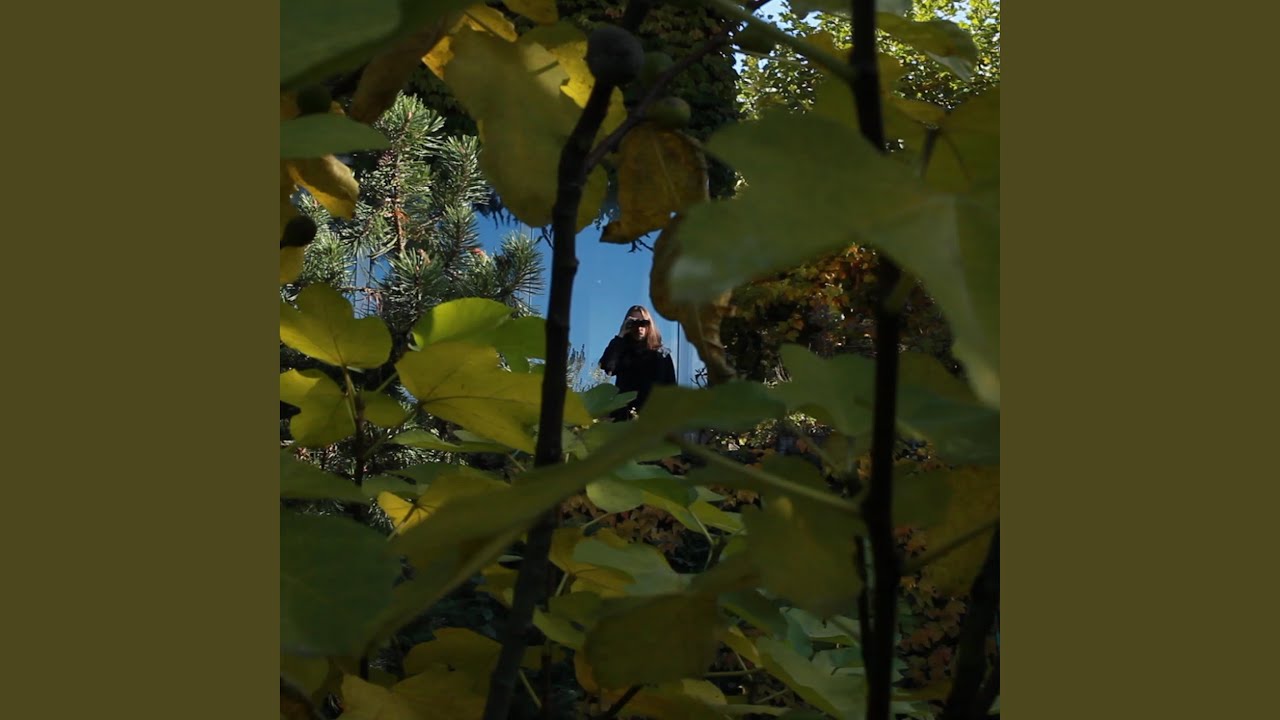 Spion