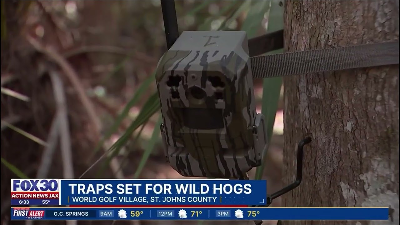 Wild Hogs tearing up World Golf Village, Florida