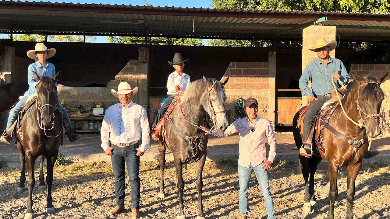 Crianza de CABALLO AZTECA raza MEXICANA | Educación y cuidados hasta llegar a la rienda