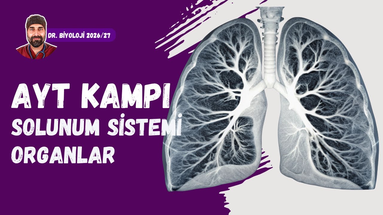 Solunum Sistemi Organlar | Dr. Biyoloji | AYT Dönem 2026 - 2027