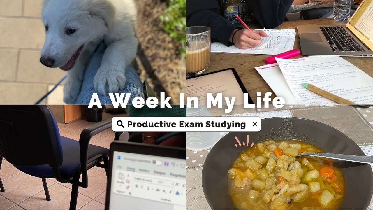 Productive EXAM studying