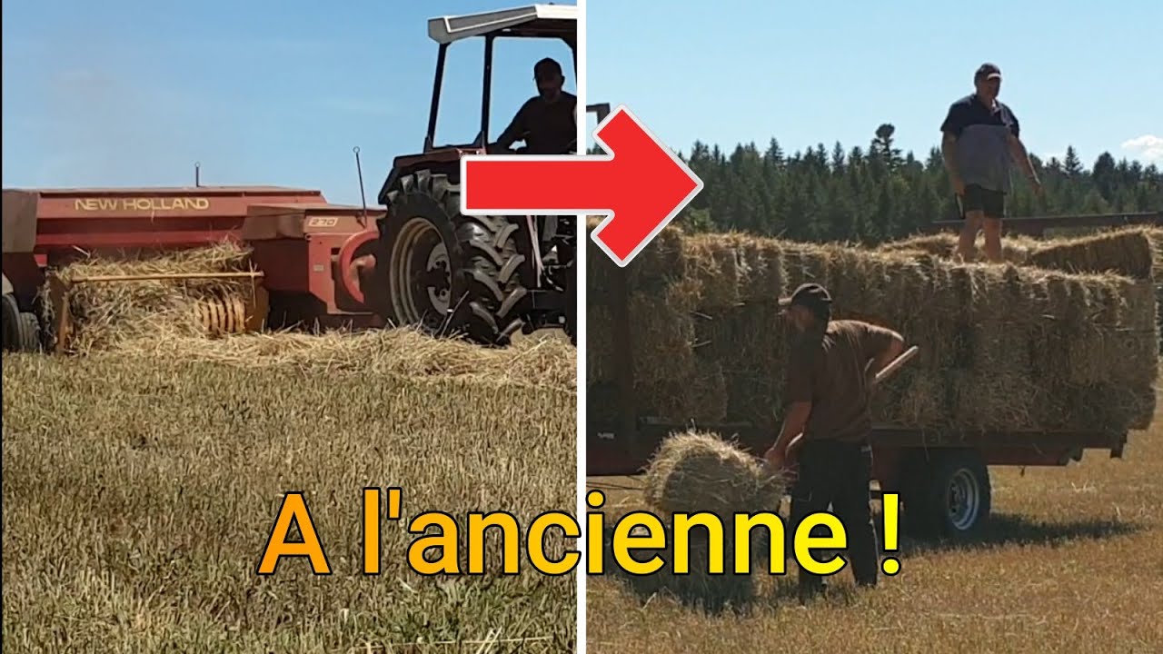Pressage paille à l'ancienne, Presse New Holland 270, Fiatagri 65-66s, New Holland T6 140.