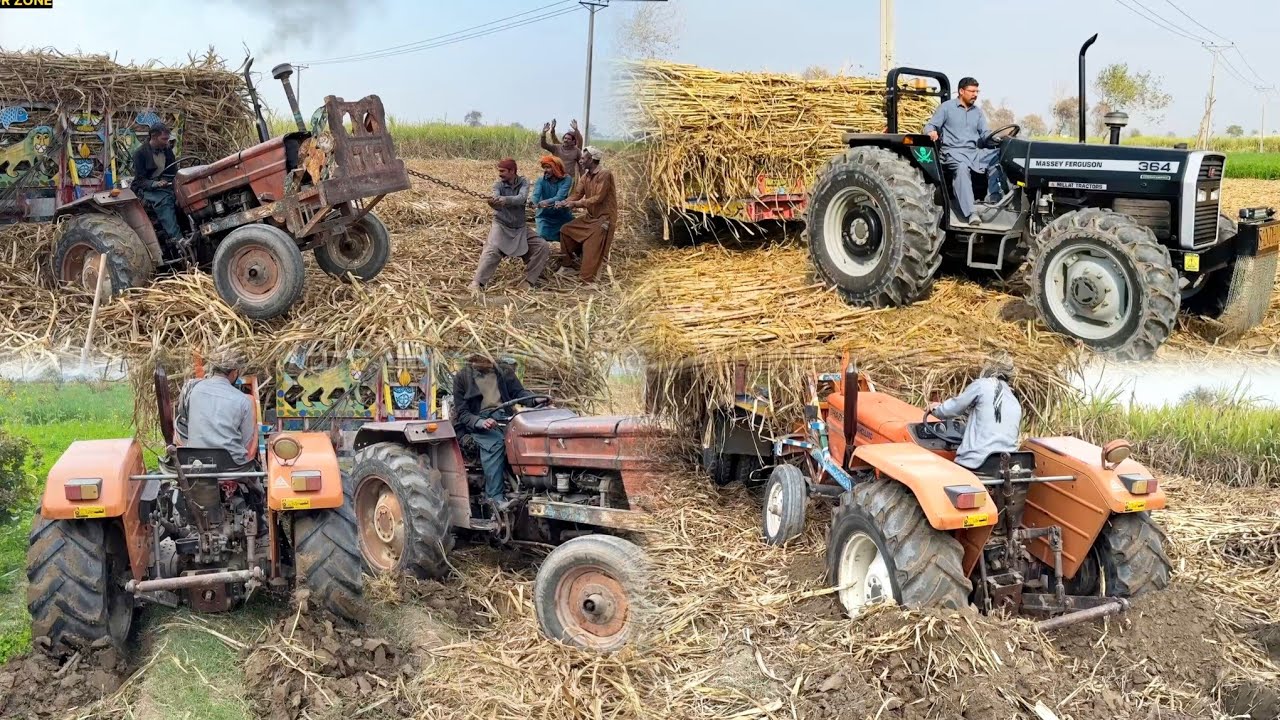 Truly Pulling Pakistani tractor Old Model Fiat 480 NH Ghazi 65 MF 385 4x4 😍Power show💪