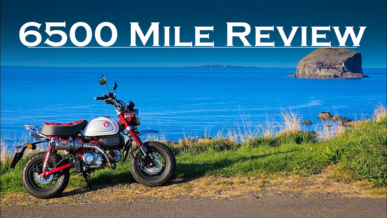 Honda Monkey Z125: 6500 Miles Later — Honest Review (What You NEED to Know)