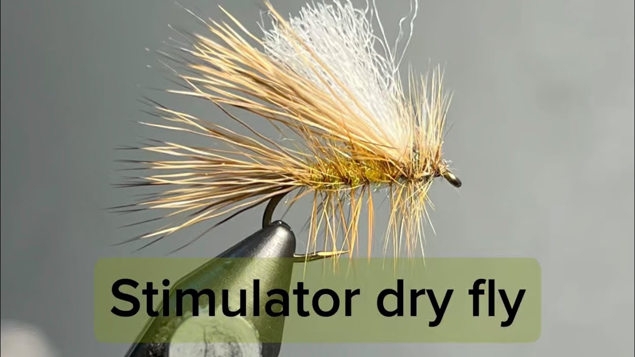 Stimulator Dry Fly: A Great Searching Pattern