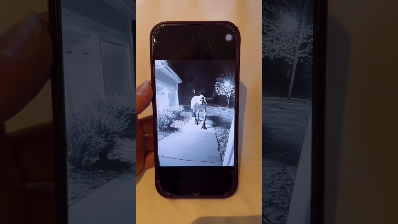 CHI STA ENTRANDO? 😰 *finale epico*