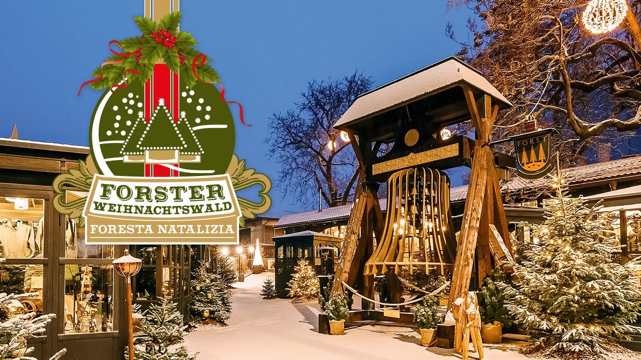FORSTER Weihnachtswald DE