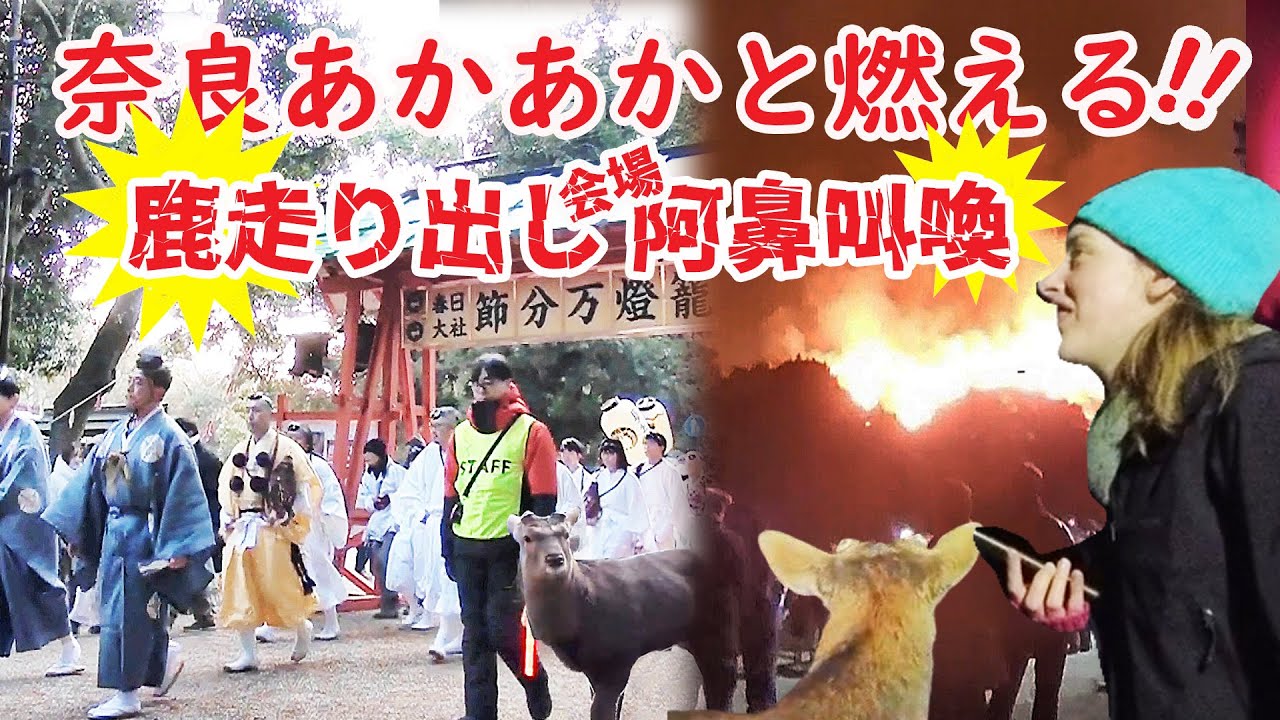 奈良 鹿大逃走で会場悲鳴！伝統行事に20万人！厳かな神事とあかあかと燃える山焼き外国人を魅了!!若草山 