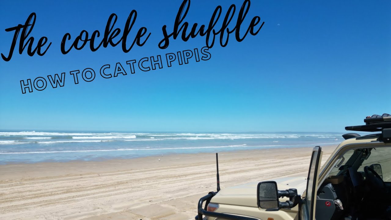 Visiting Goolwa Beach chasing the very tasty Goolwa Cockle/Pipi