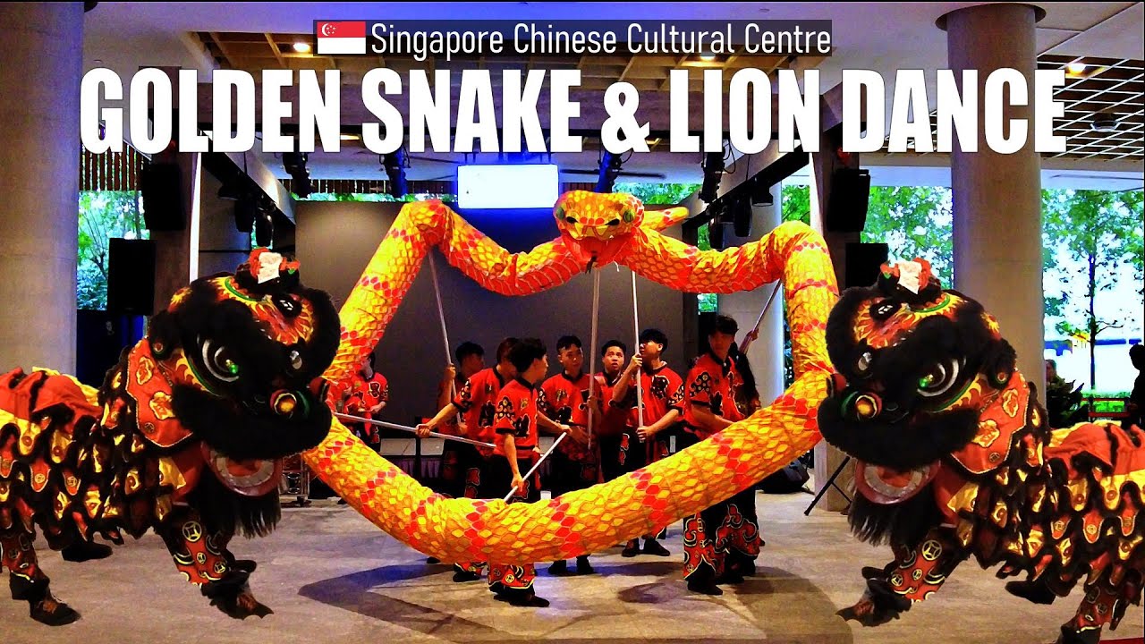Exciting Dance of Golden Snake & Lions 2025 - Singapore 🇸🇬 - Virtual Walking Tour [4K]