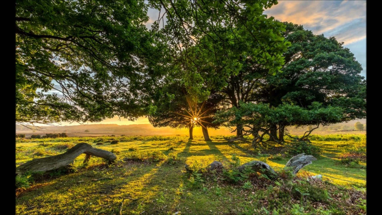 The Time Weaver ( Norn ): The Great Return , a channeled message