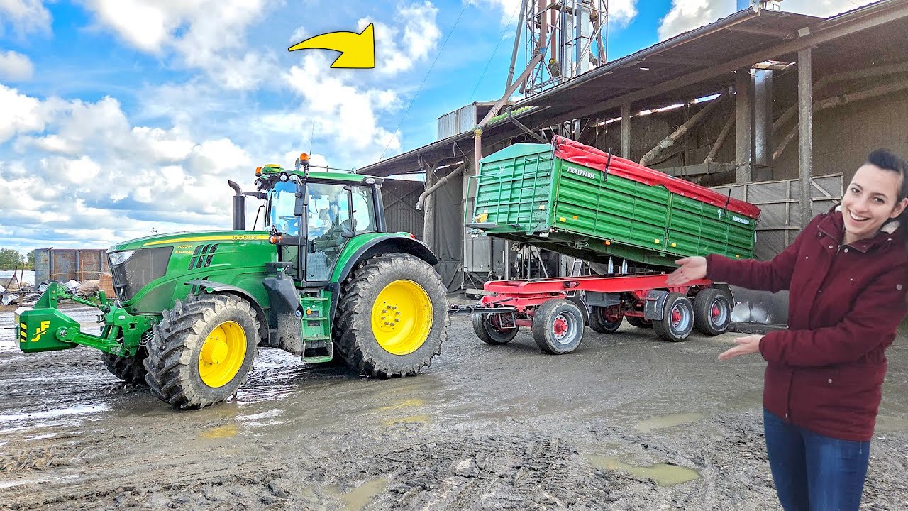 SPRZEDAŻ ZBOŻA - ZRYŁEM TRAKTOREM PÓŁ PODWÓRKA