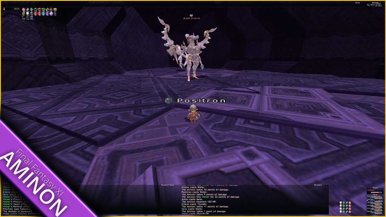 Sortie Aminon Hard Mode (TP Denial, Uncut, No Commentary) | Final Fantasy XI