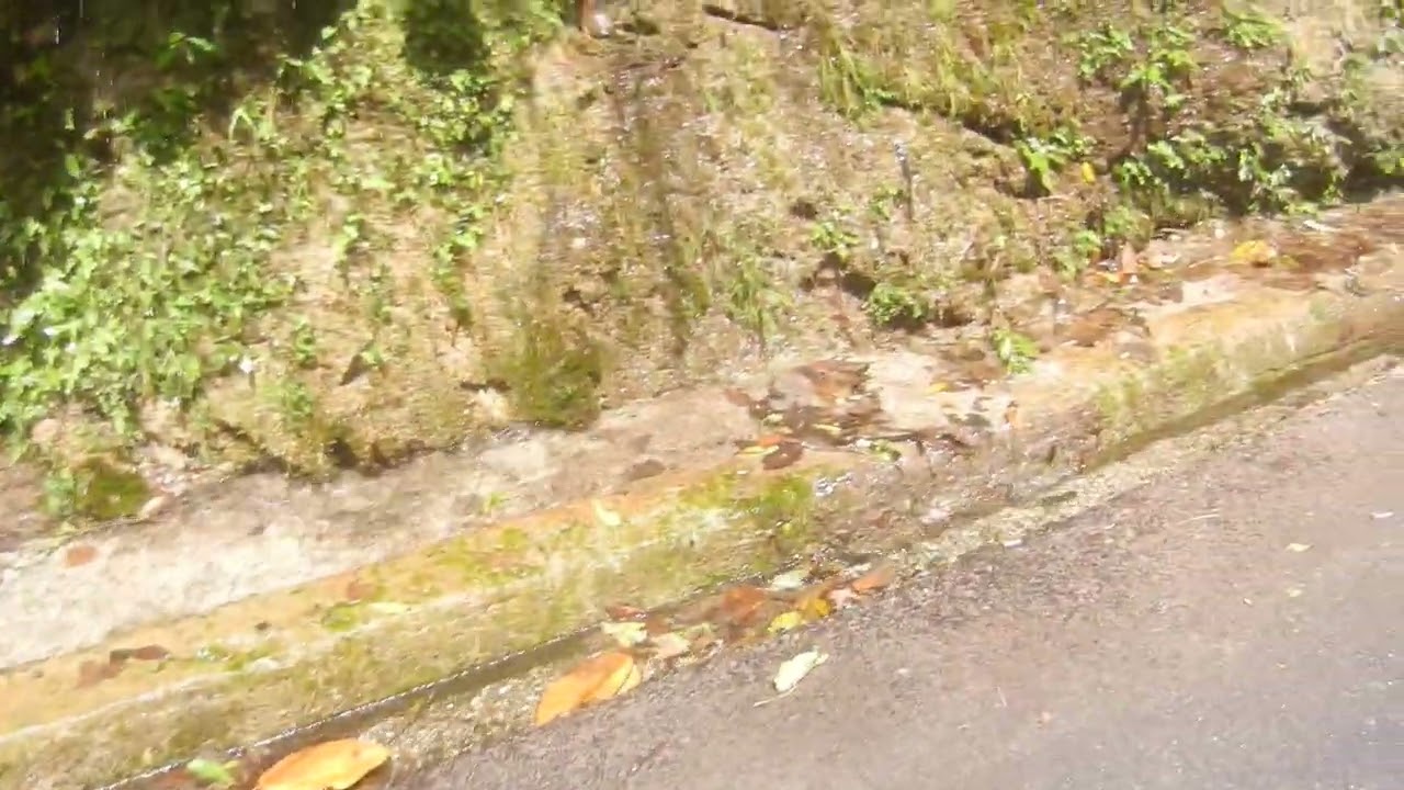 DSCN1771...2025.4.14.1324...